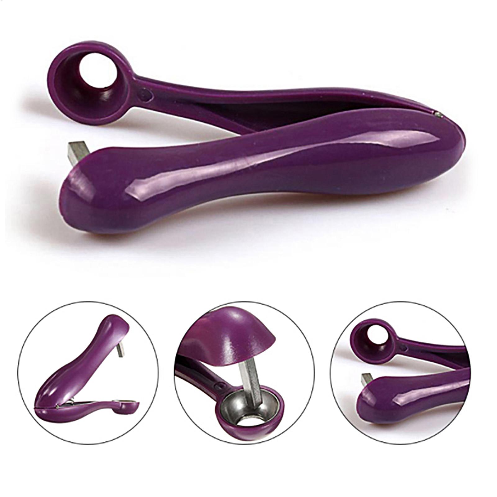 Portable Cherry Fruit Kitchen  - Cherry Pitter Tool ulasan dan harga