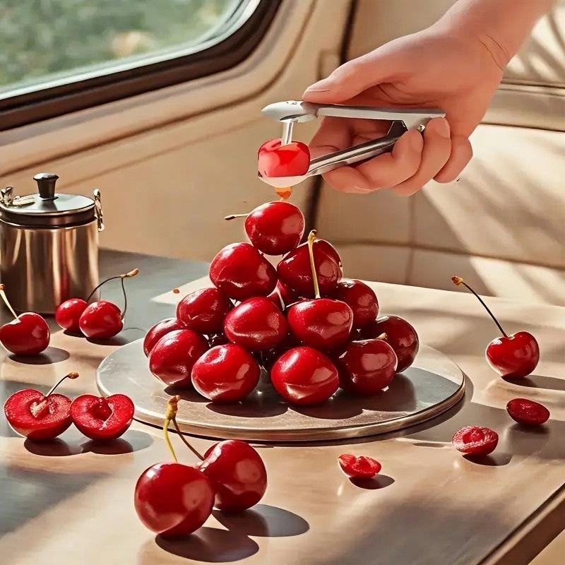 /KQM/Stainless Steel Cherry Fr - Cherry Pitter Tool ulasan dan harga
