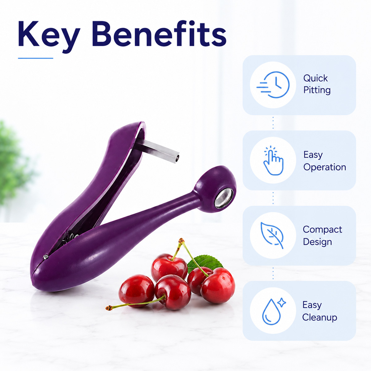 Cherry Kernel Remover Handheld - Cherry Pitter Tool ulasan dan harga