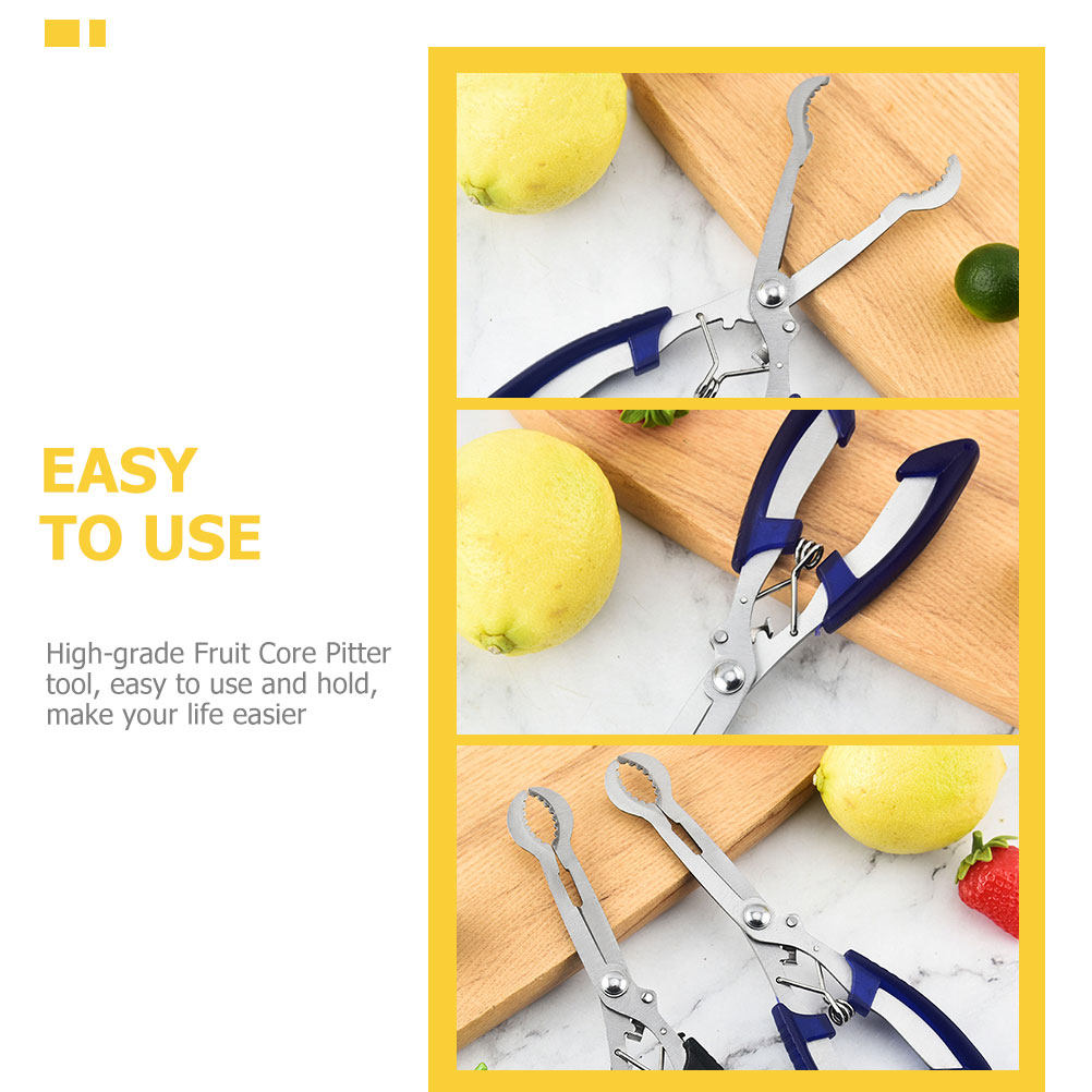 Stainless Steel Hawthorn Pitte - Cherry Pitter Tool ulasan dan harga