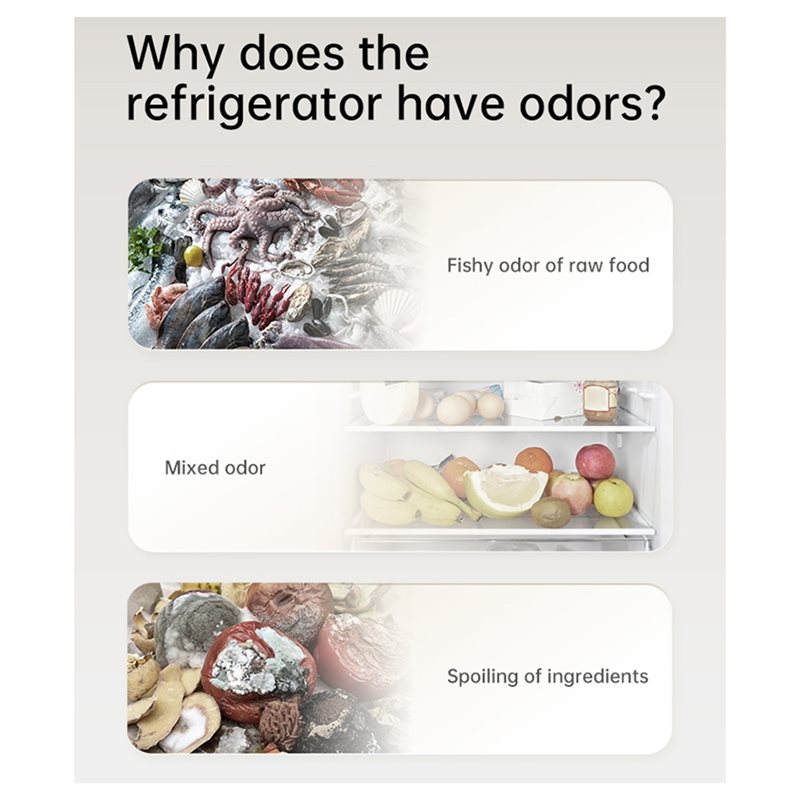 2025-Refrigerator Deodorizer O - Kitchen Gadgets Of 2025 ulasan dan harga